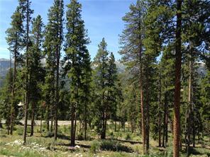 71 Rounds Road Breckenridge, CO 80424 - Photo 4 of 7 a view of outdoor space with lots of trees