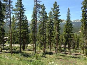 71 Rounds Road Breckenridge, CO 80424 - Photo 5 of 7 a view of backyard