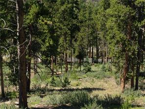 71 Rounds Road Breckenridge, CO 80424 - Photo 6 of 7 a view of a yard