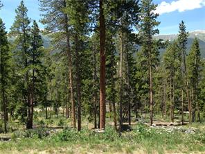 71 Rounds Road Breckenridge, CO 80424 - Photo 7 of 7 a view of outdoor space and green space