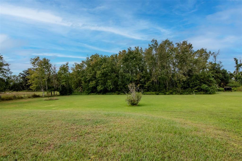 5213 R M D Avenue Plant City, FL 33566 - Photo 29 of 32 a view of an outdoor space and yard