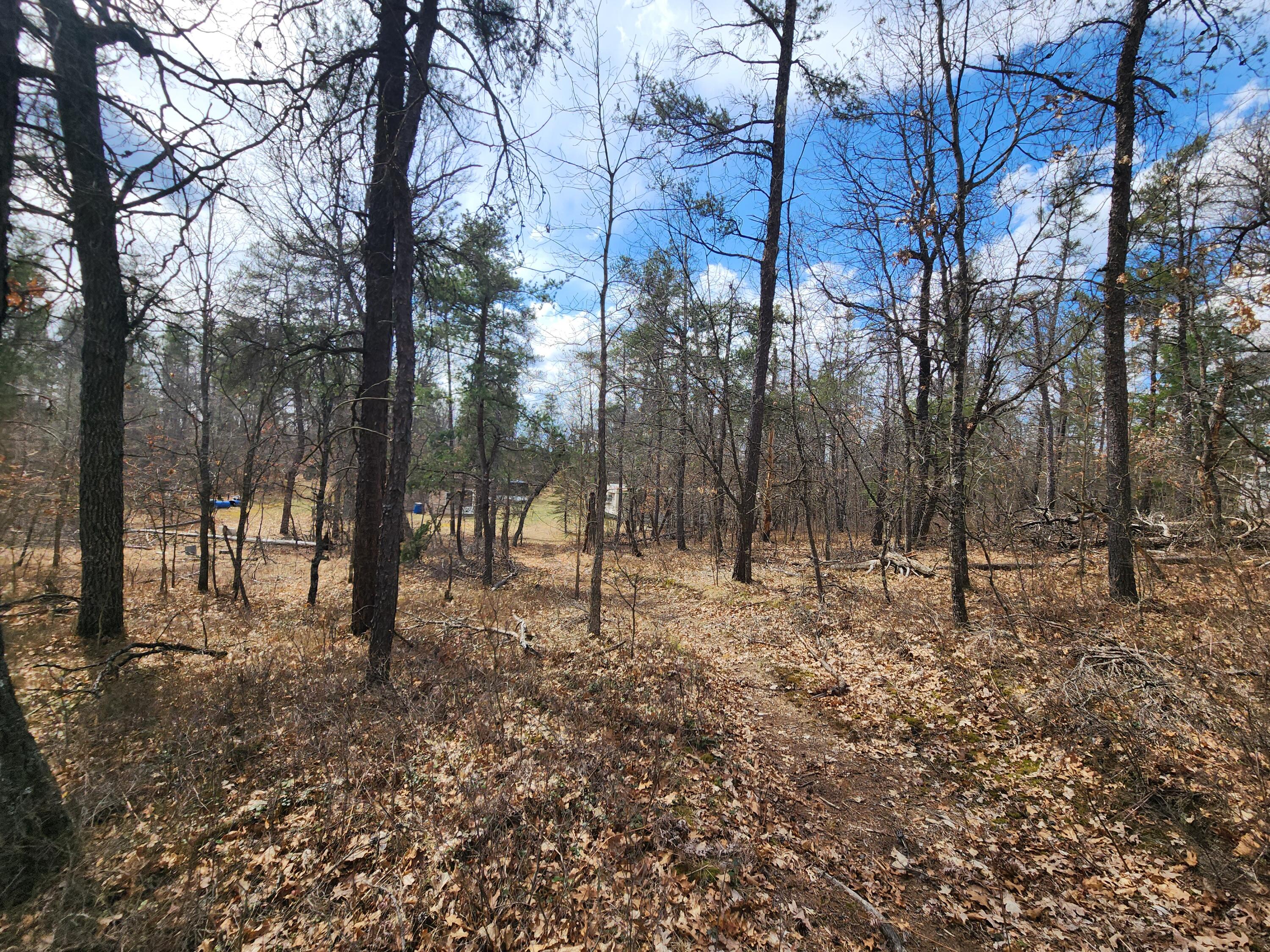 1531 Hardy Grade Road Curran, MI 48728 - Photo 34 of 42 Gallery Image 34