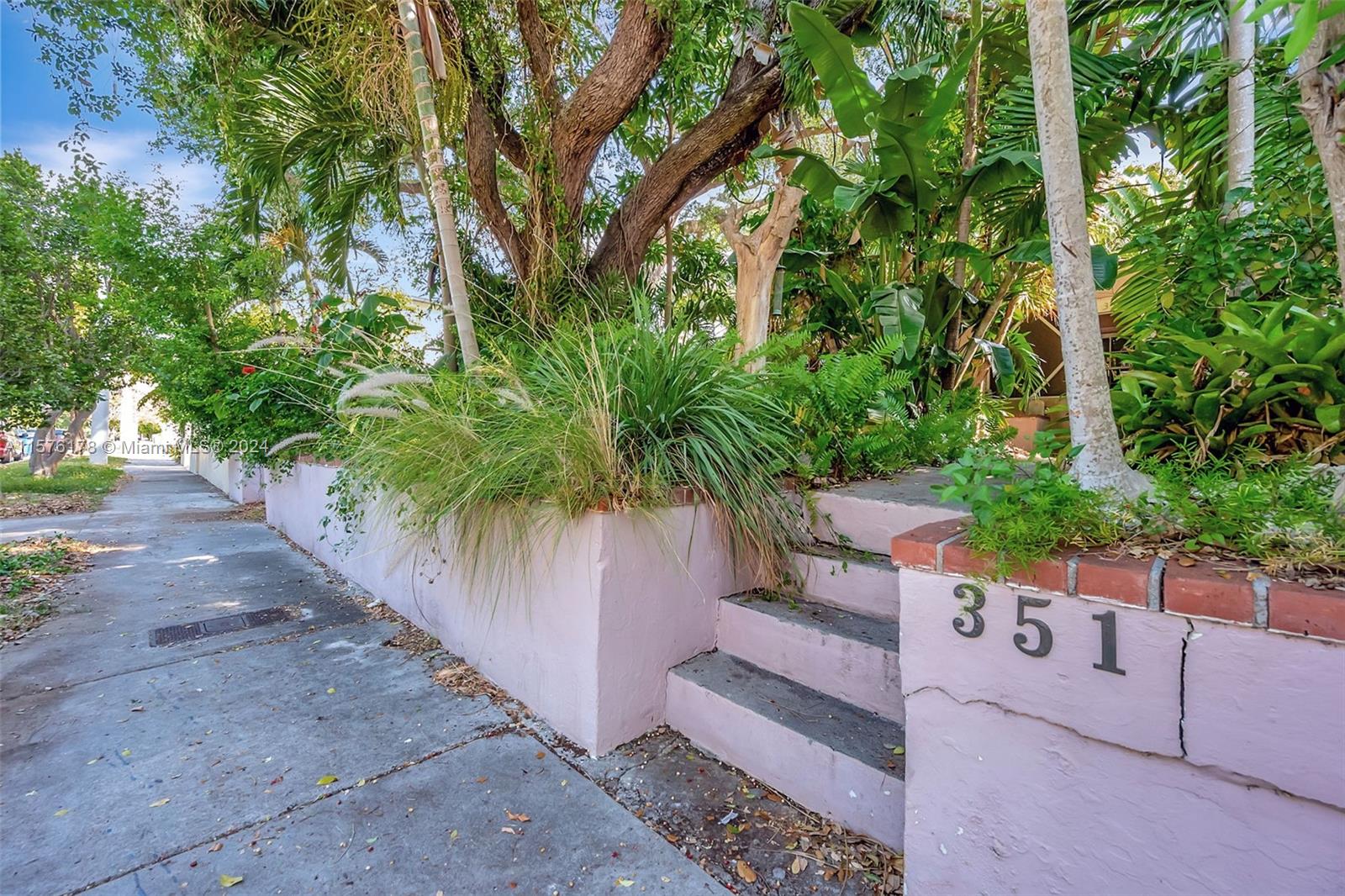 a view of a yard with plants
