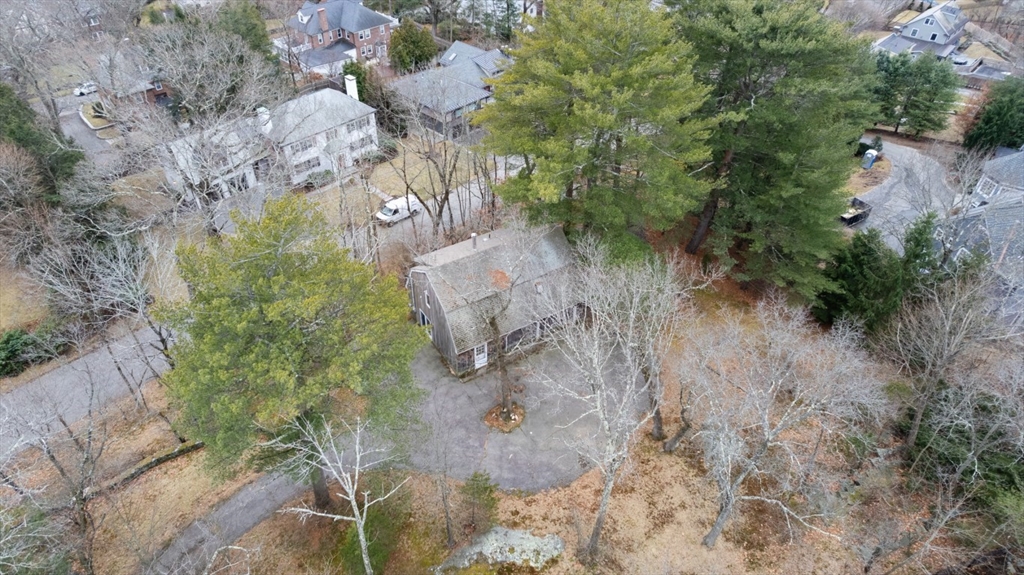 73 Valentine Street Newton, MA 02465 - Photo 5 of 6 a view of a forest with a trees