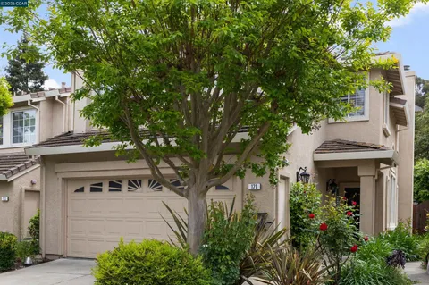 a front view of a house with plants
