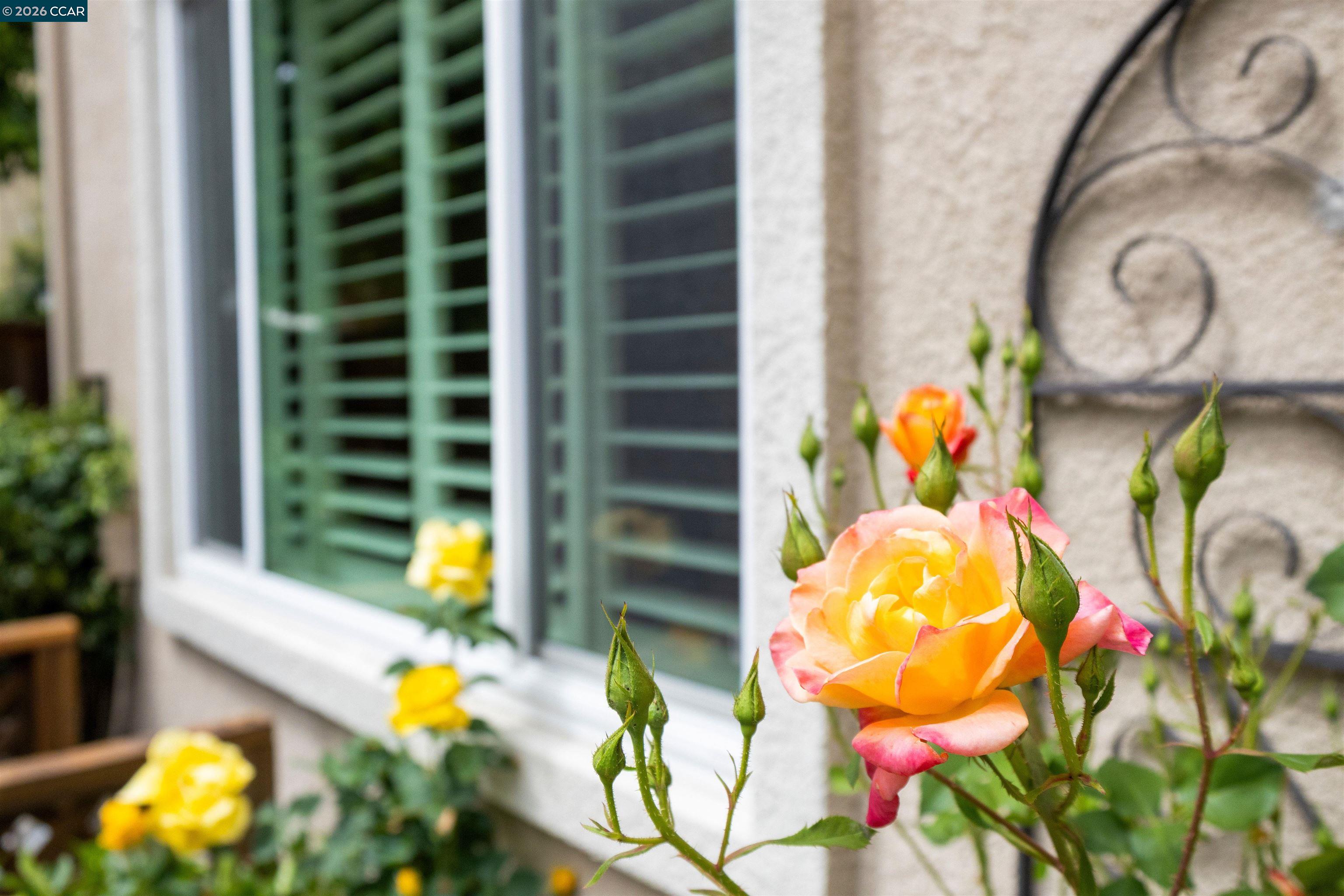 121 Enchanted Way San Ramon, CA 94583 - Photo 37 of 42