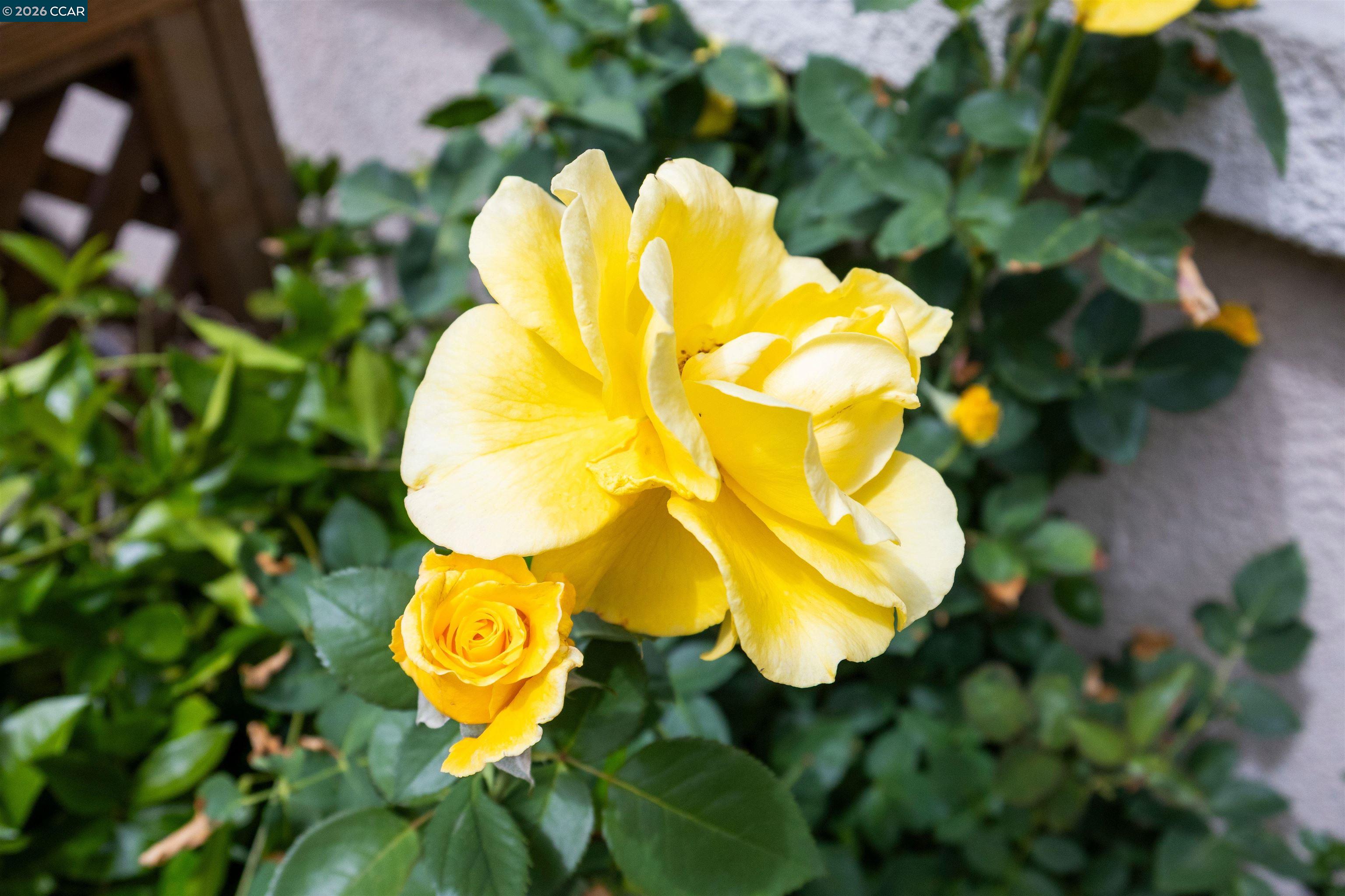 121 Enchanted Way San Ramon, CA 94583 - Photo 40 of 42