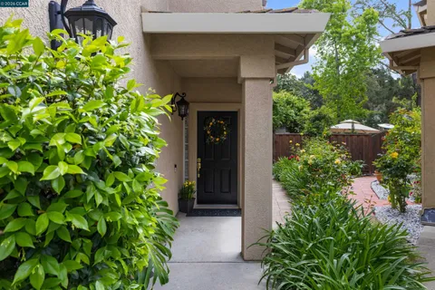 a couple of potted plants in front of a house