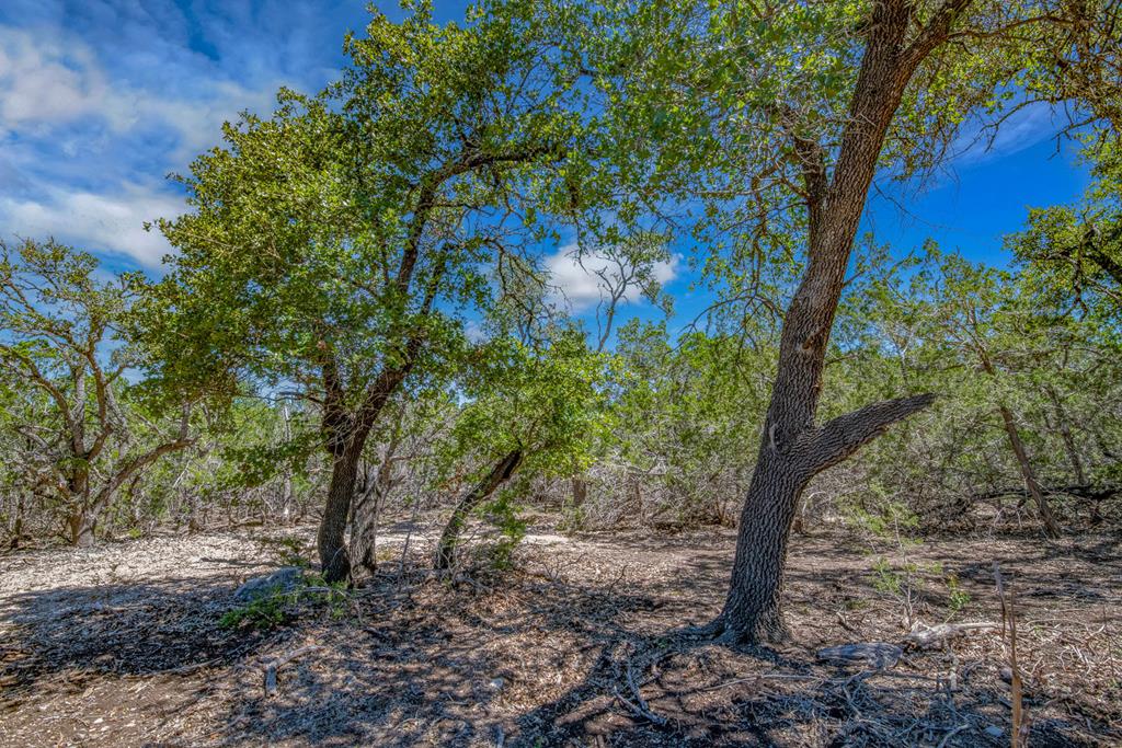 3 Bonita View Ranch Road Harper, TX 78631 - Photo 1 of 6