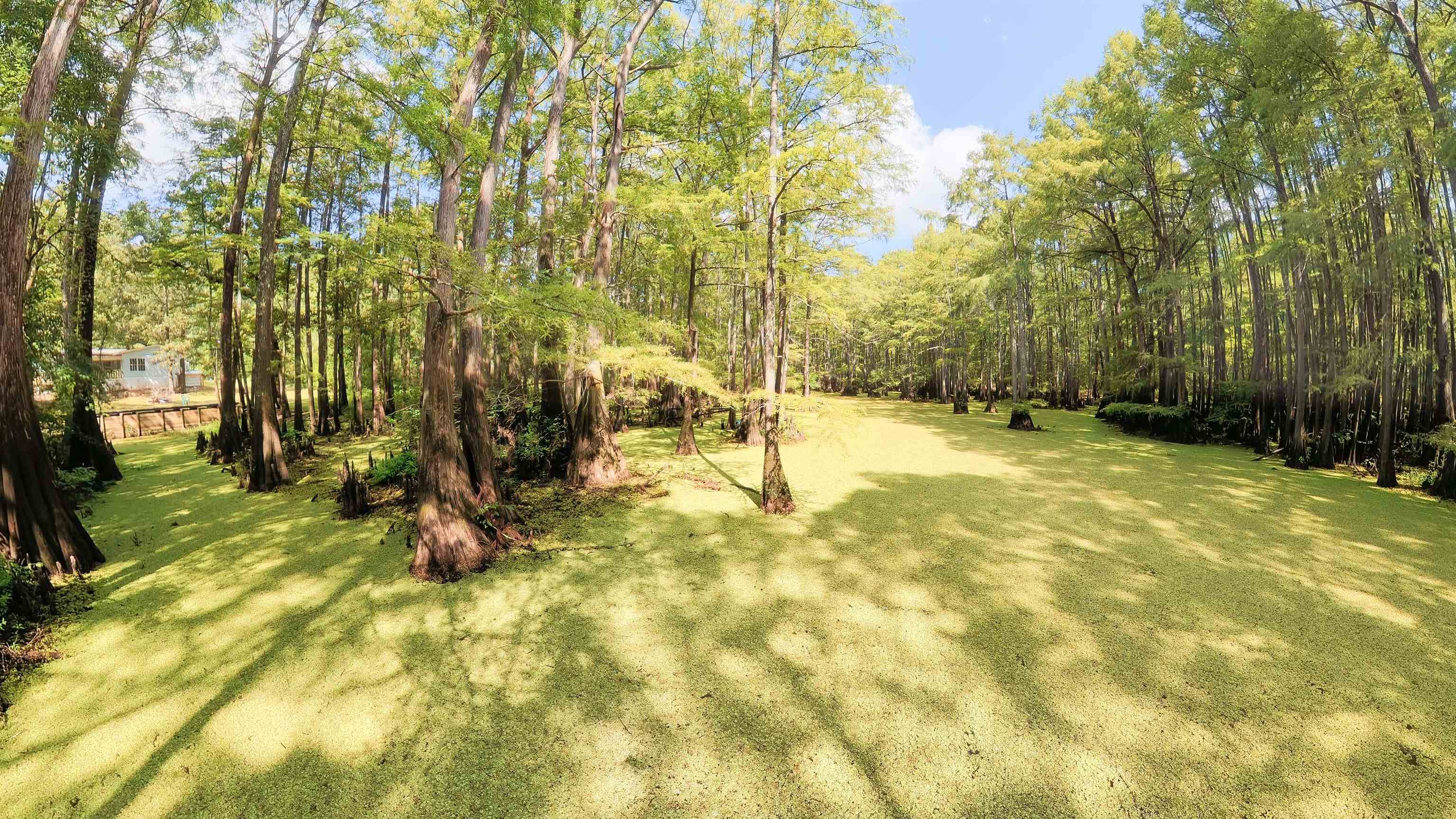 251 East Longs Camp Road Karnack, TX 75661 - Photo 27 of 34 Gallery Image 27
