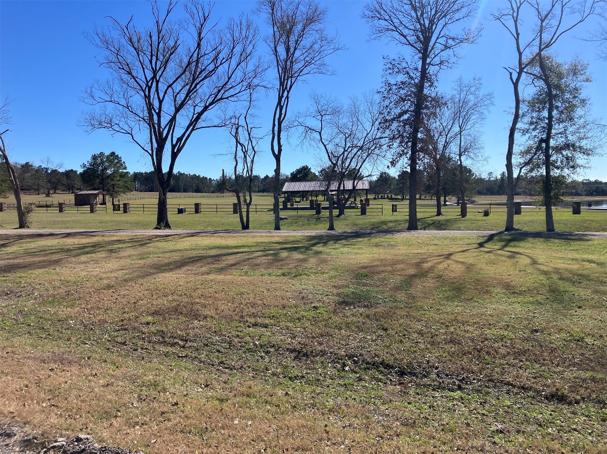 12945 Oak Barrel Road Willis, TX 77378 - Photo 4 of 11 a view of open space with trees