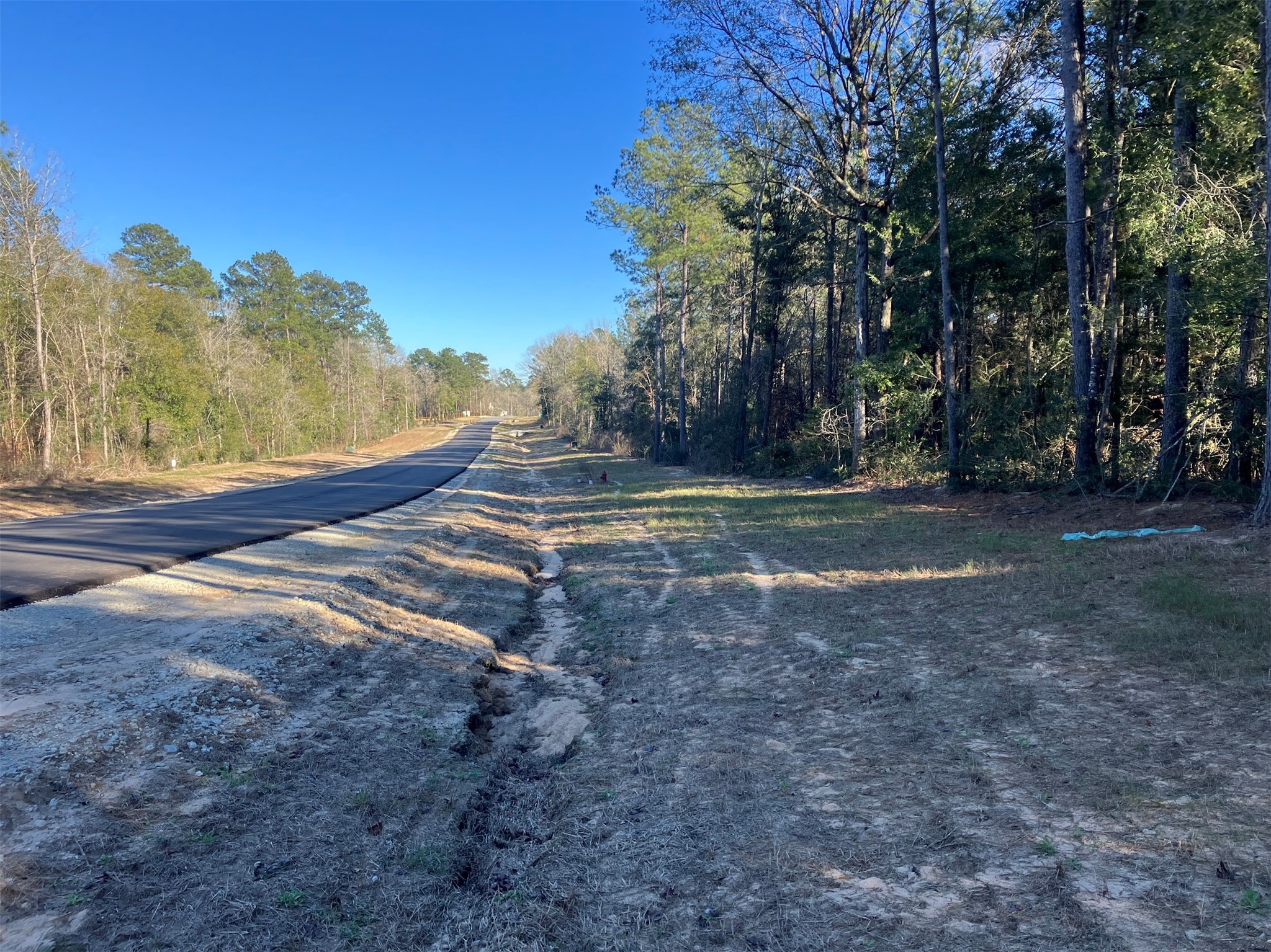 12945 Oak Barrel Road Willis, TX 77378 - Photo 6 of 11 a view of outdoor space with trees