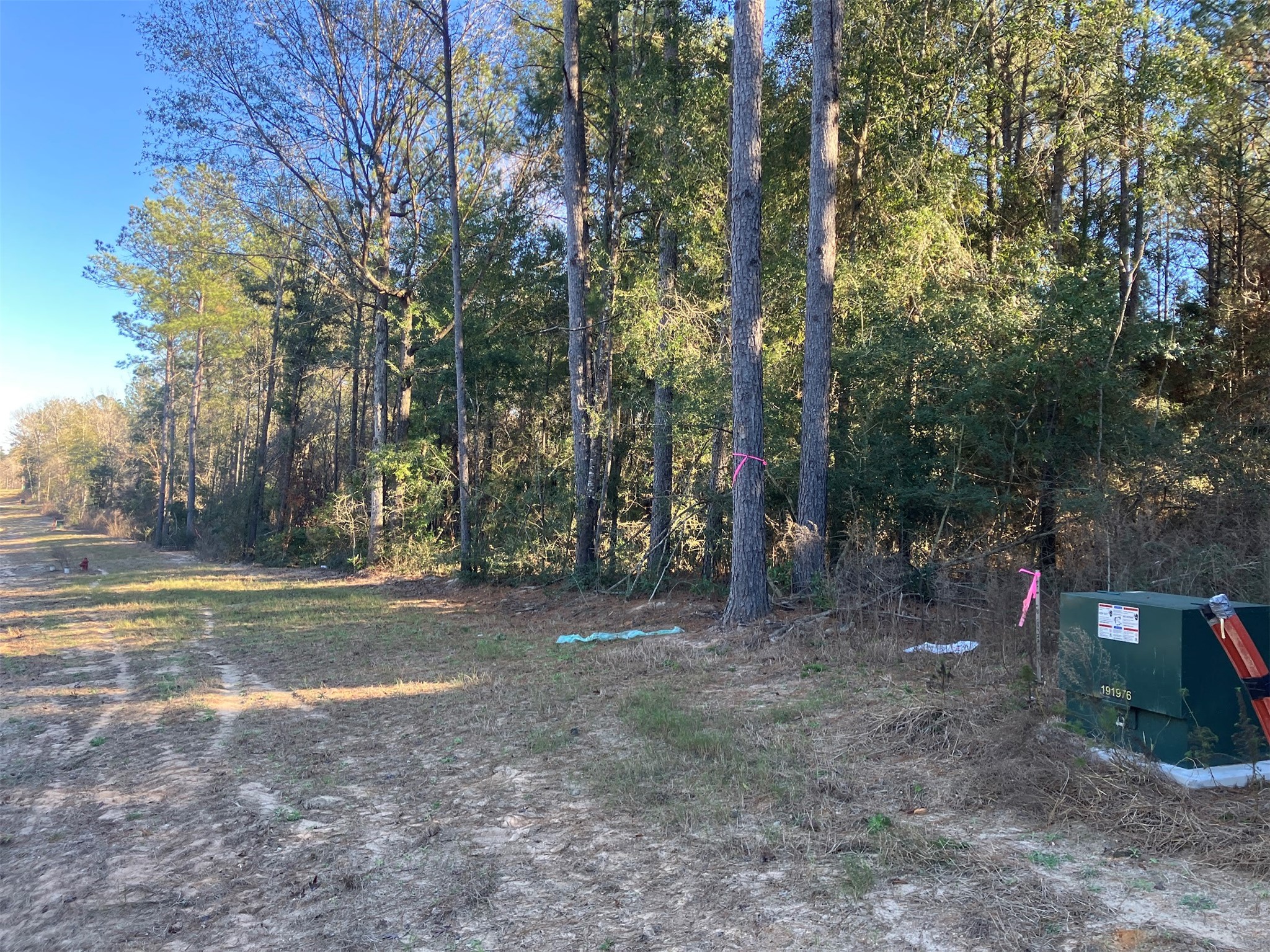12945 Oak Barrel Road Willis, TX 77378 - Photo 7 of 11 a view of a field with trees in the background