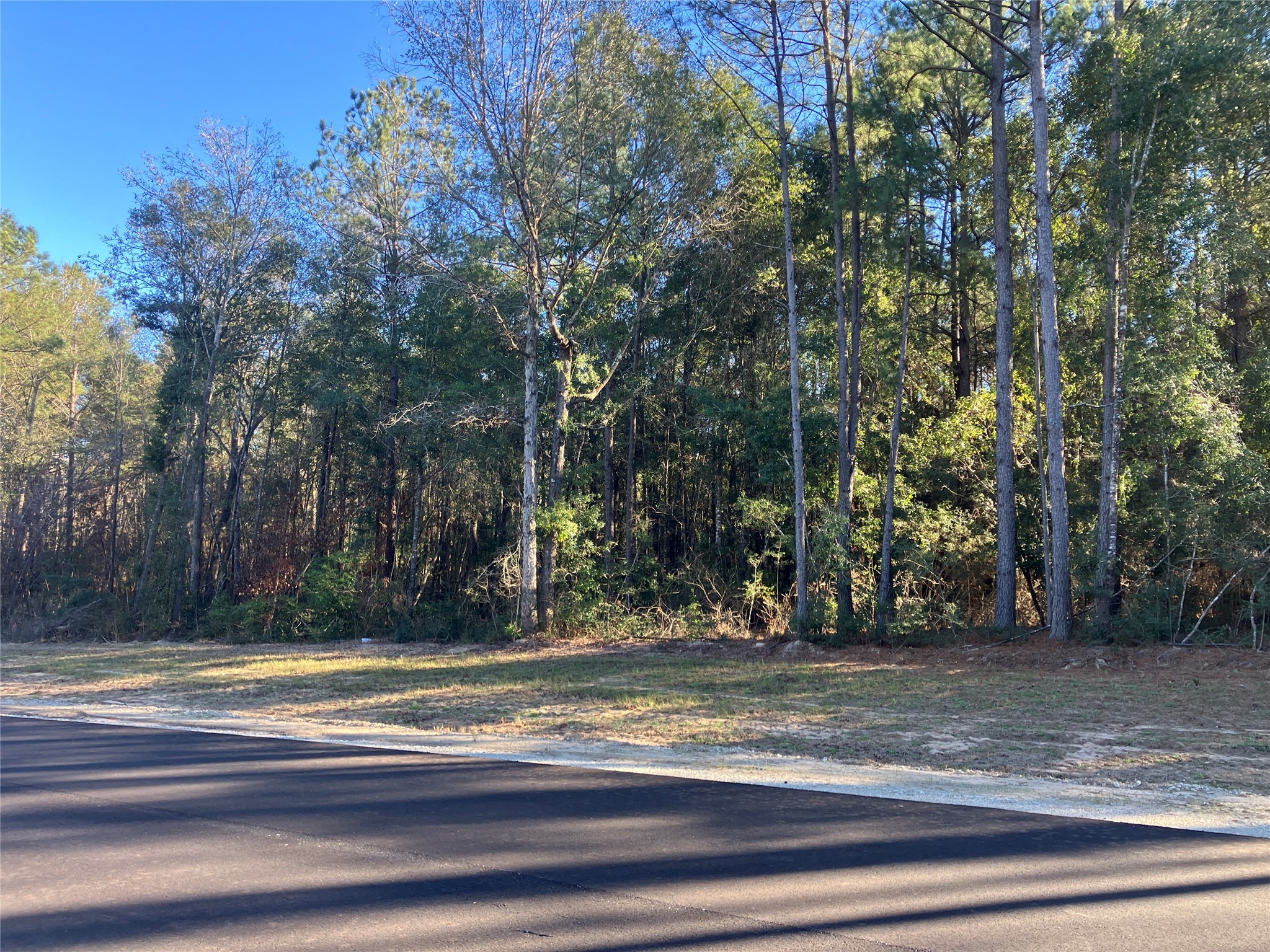 12945 Oak Barrel Road Willis, TX 77378 - Photo 8 of 11 a view of a yard with large trees