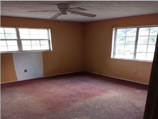 7309 Castalian Springs Road Durant, MS 39063 - Photo 10 of 15 Photo 10