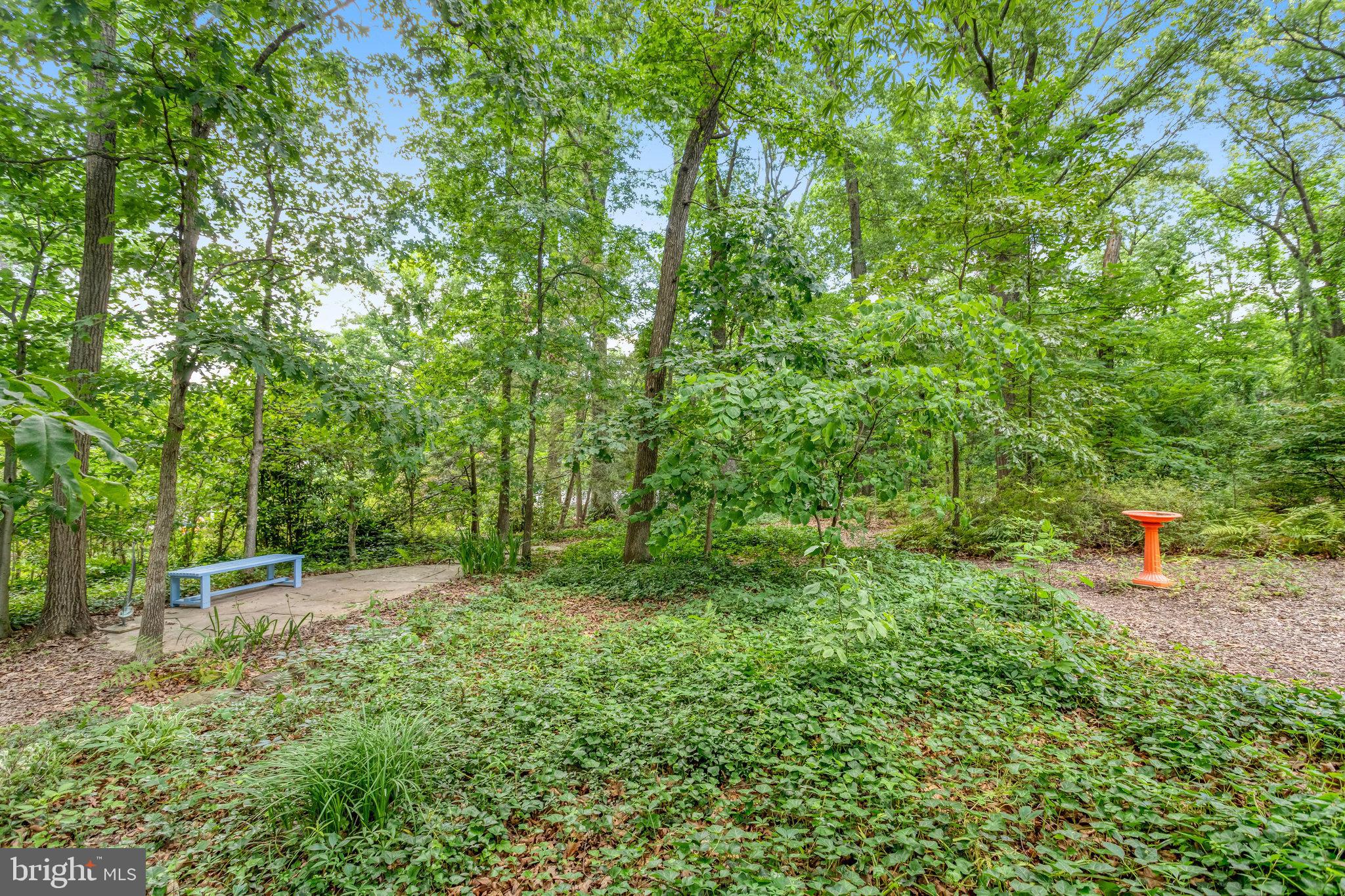 1917 Marthas Road Alexandria, VA 22307 - Photo 45 of 50
