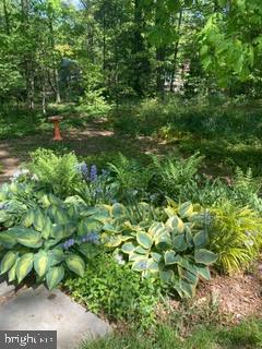 1917 Marthas Road Alexandria, VA 22307 - Photo 48 of 50