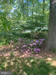 1917 Marthas Road Alexandria, VA 22307 - Photo 50 of 50