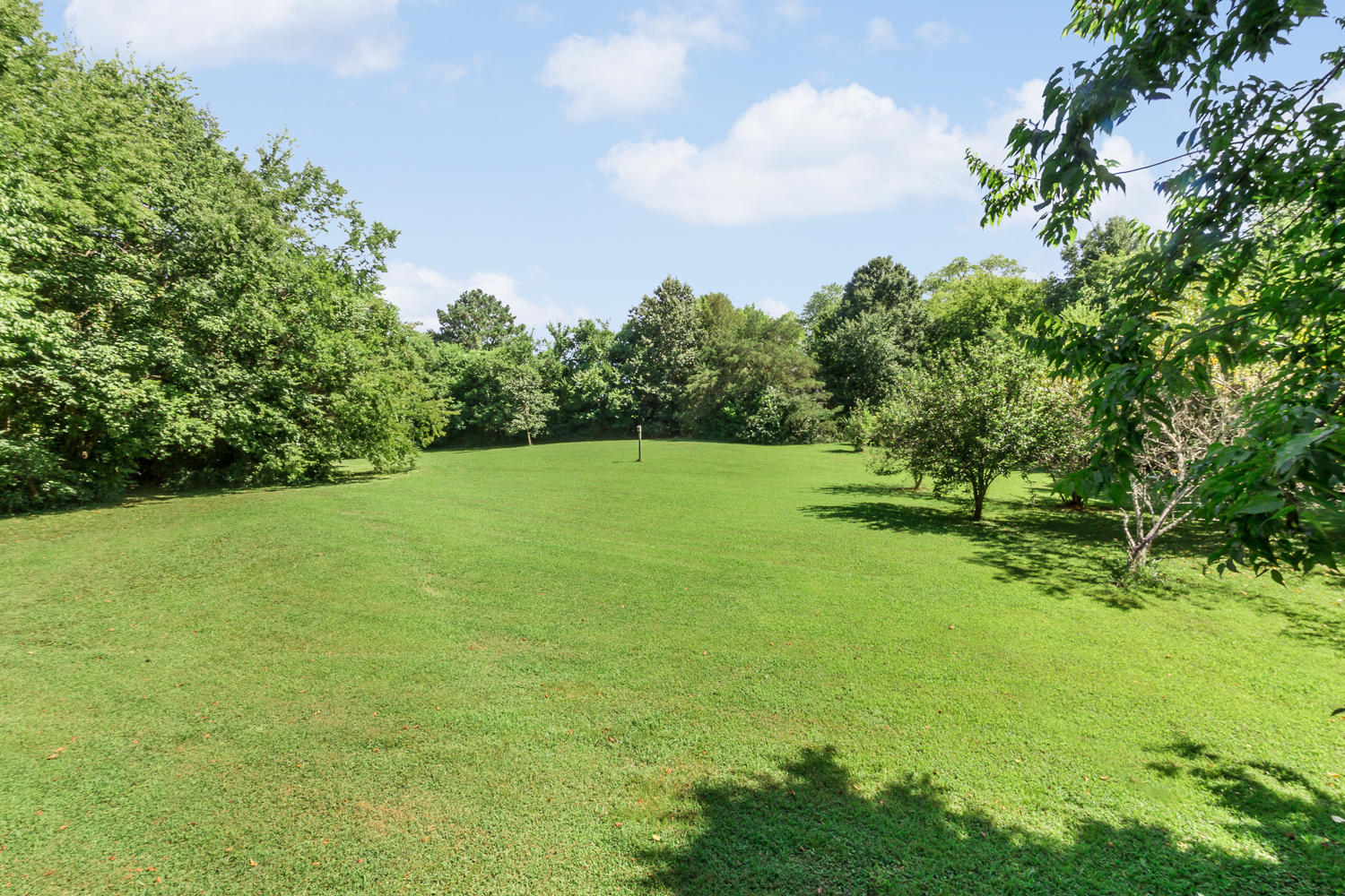 2448 Hickory Valley Road Chattanooga, TN 37421 - Photo 14 of 32 Pasture - Upper
