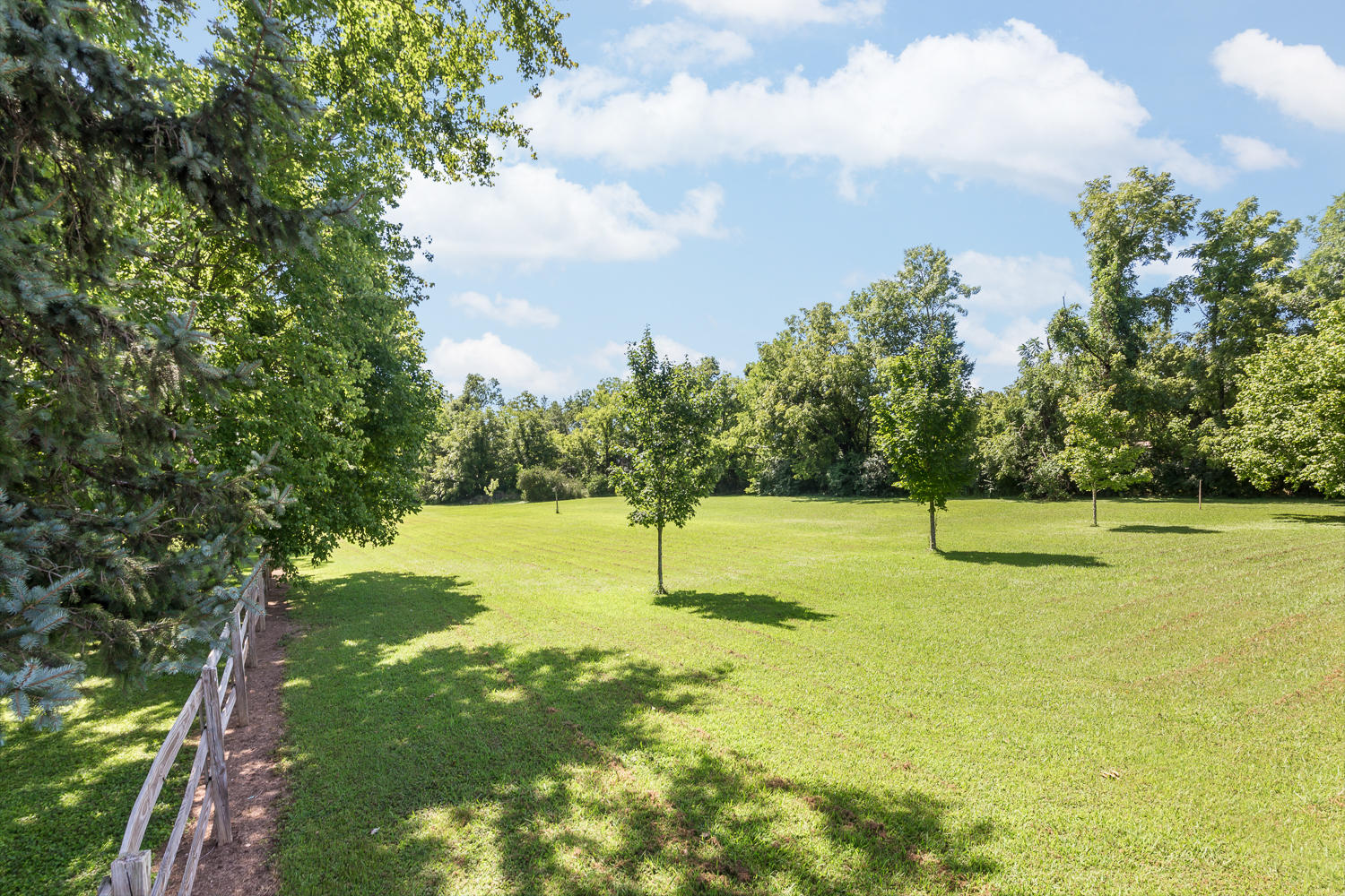 2448 Hickory Valley Road Chattanooga, TN 37421 - Photo 10 of 32 Pasture - Side View 2