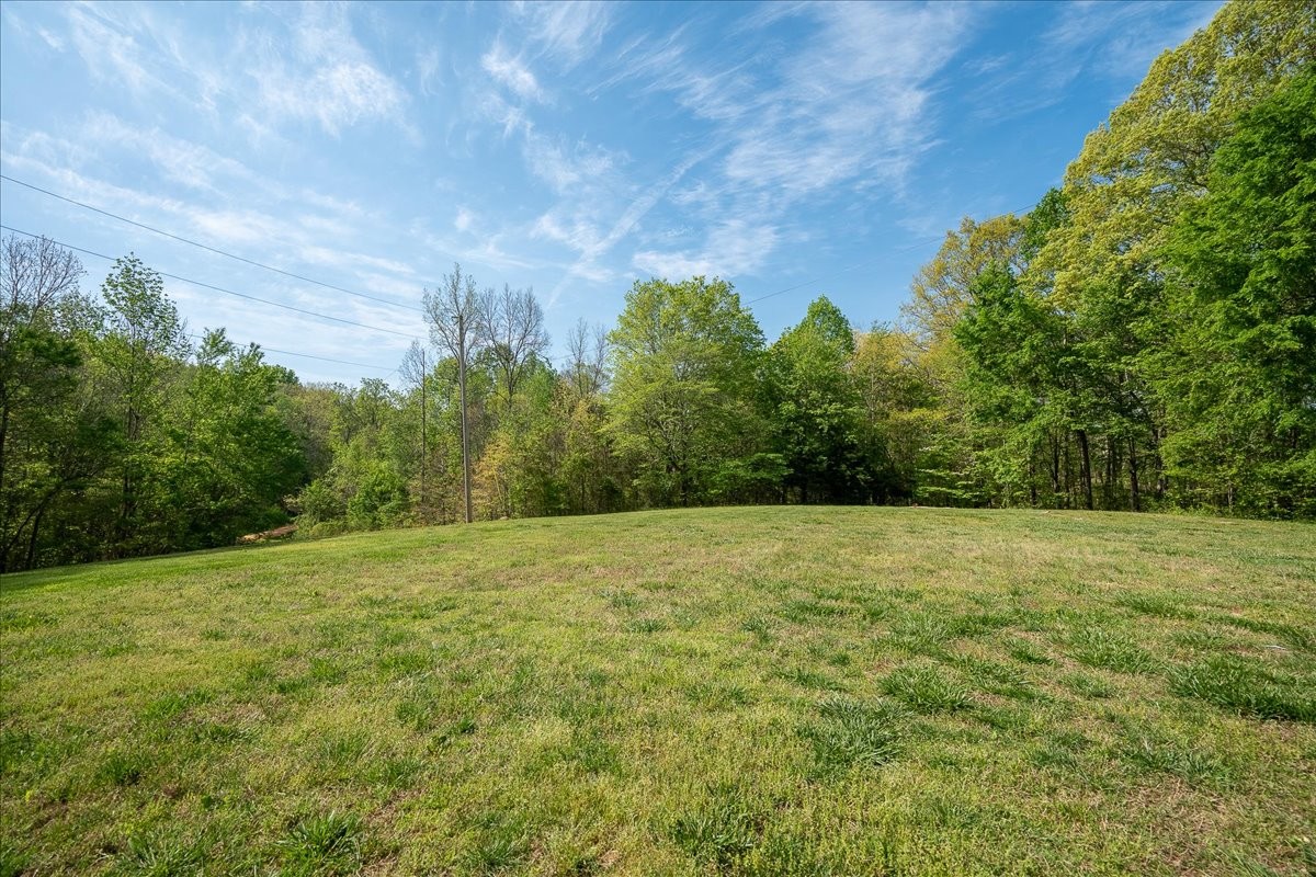 226 Nash Road Summertown, TN 38483 - Photo 41 of 55 a view of big yard with an outdoor space