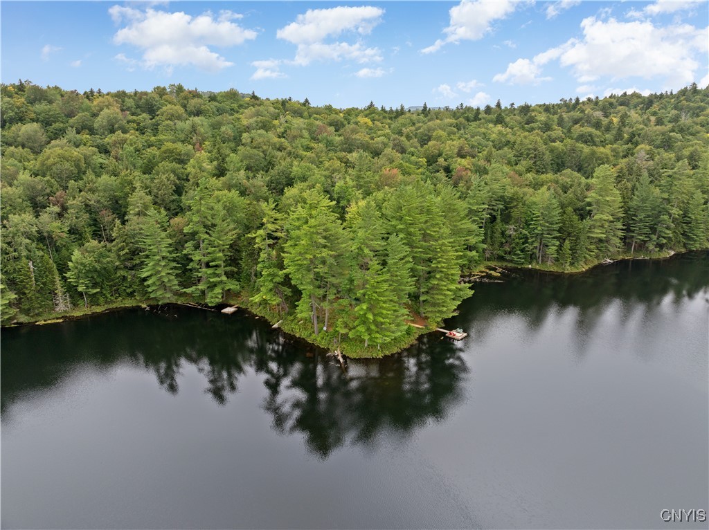 0 Judson Road Eagle Bay, NY 13331 - Photo 3 of 48 Gallery Image 3