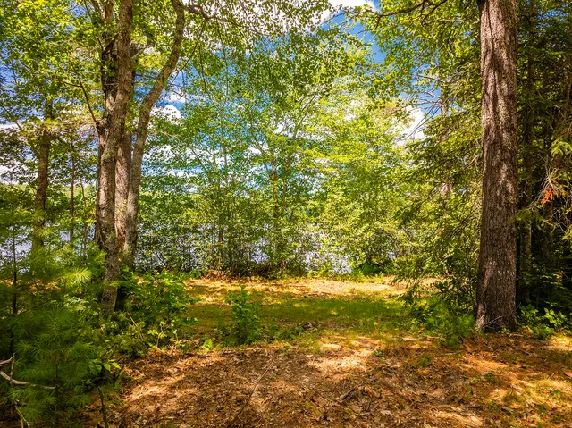 $850,000 | Lot 2 Aldus Shores Road, Searsmont, ME 04973