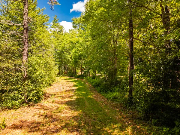 $850,000 | Lot 2 Aldus Shores Road, Searsmont, ME 04973