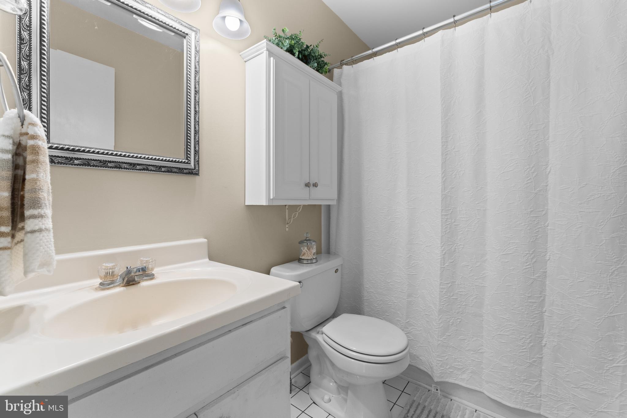 5057 Old Auburn Road Warrenton, VA 20187 - Photo 29 of 47 a bathroom with a sink a toilet and shower