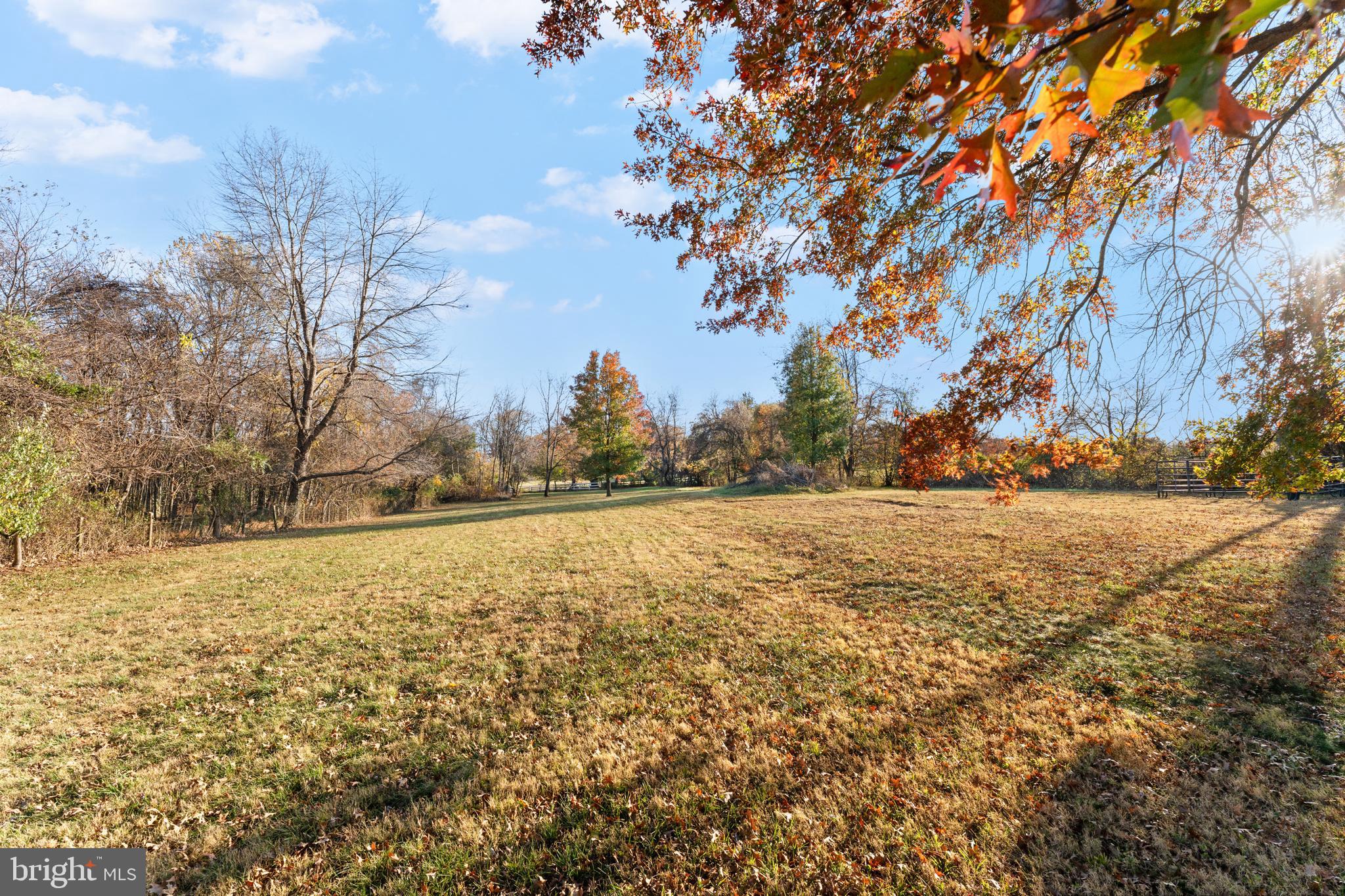 5057 Old Auburn Road Warrenton, VA 20187 - Photo 43 of 47 a view of yard with large trees