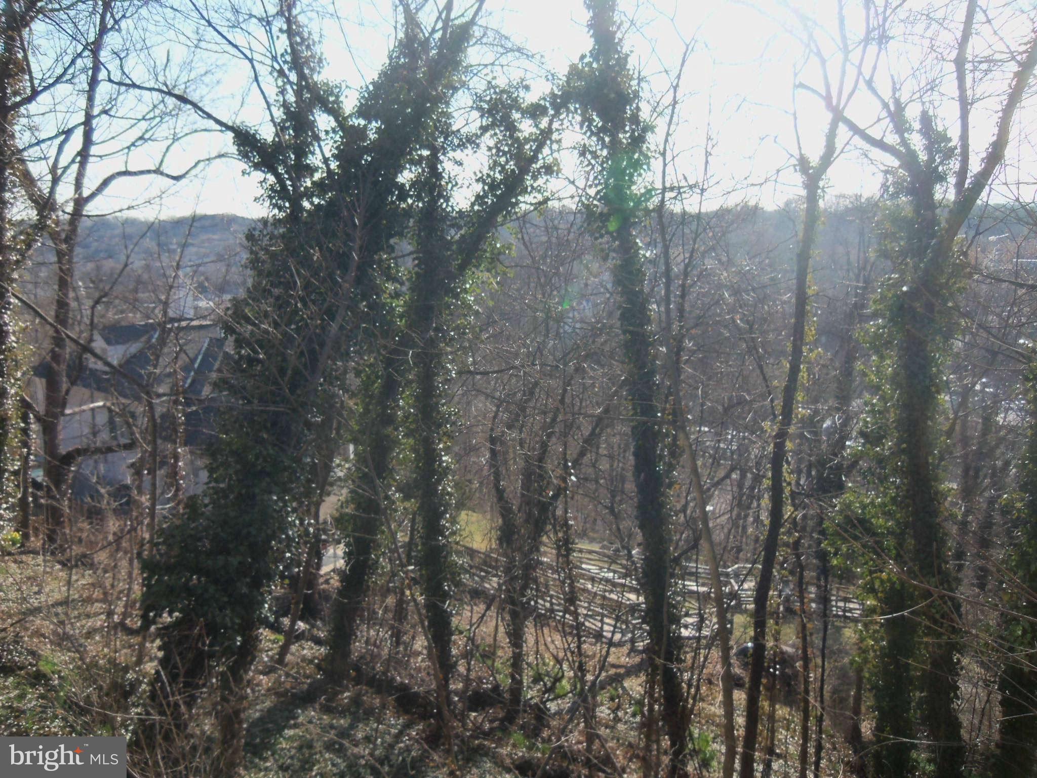 0 Cacapon Road Berkeley Springs, WV 25411 - Photo 8 of 26 View
