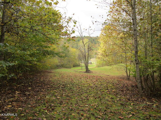 8107 Cracker Neck Road Washburn, TN 37888 - Photo 3 of 7 IMG_3193