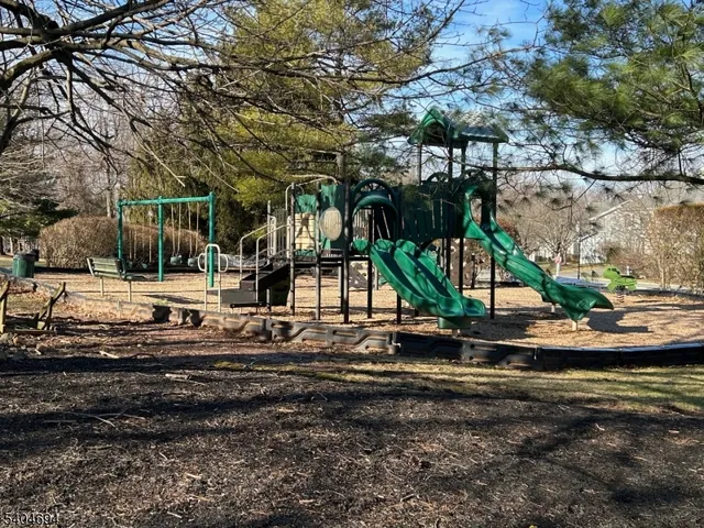 a view of a yard with tree s
