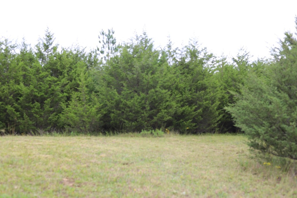 0 Guffy Hollow Road Sevierville, TN 37876 - Photo 4 of 6 a view of outdoor space and green space