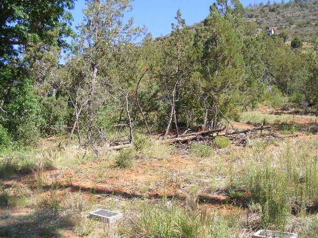 Lot 5 Fossil Creek Road Pine, AZ 85544 - Photo 6 of 8