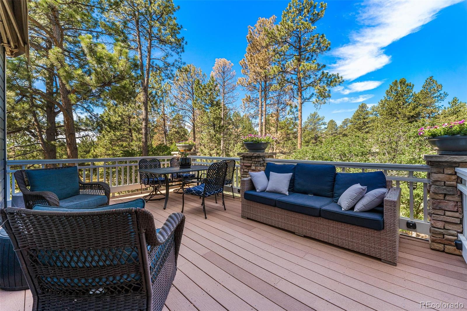 5439 Fox Sparrow Road Parker, CO 80134 - Photo 43 of 50