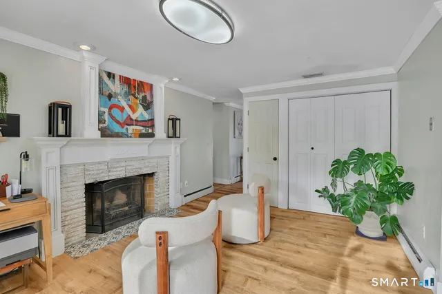 a living room with furniture potted plant and a fireplace