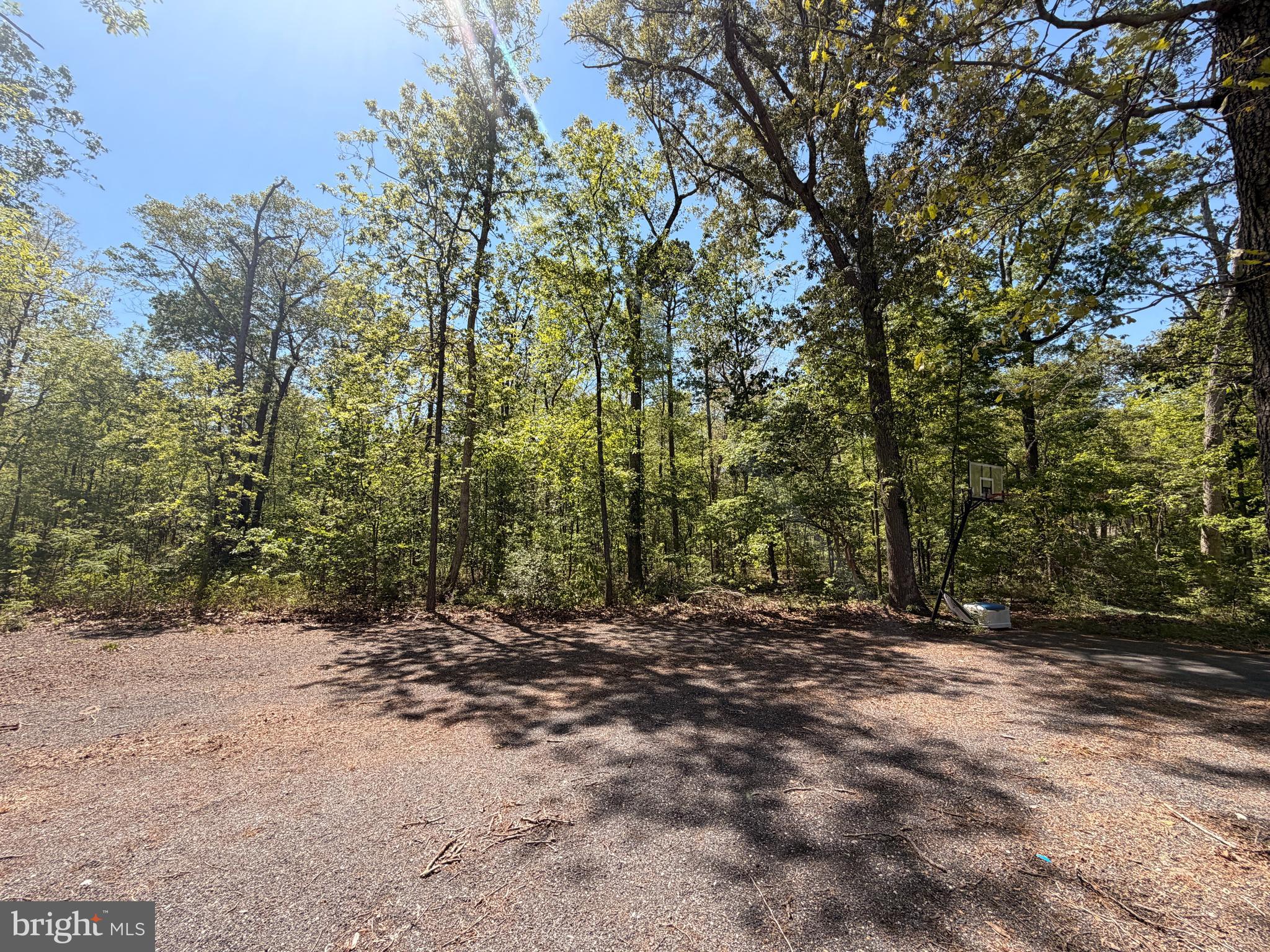 25865 Brookwood Road Greensboro, MD 21639 - Photo 7 of 18 a view of outdoor space with trees