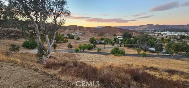 a view of a dry yard with lots of bushes