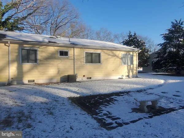 a view of a yard with plants