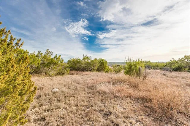 a view of a city with green space