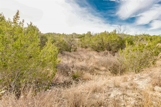a view of a yard and mountain view