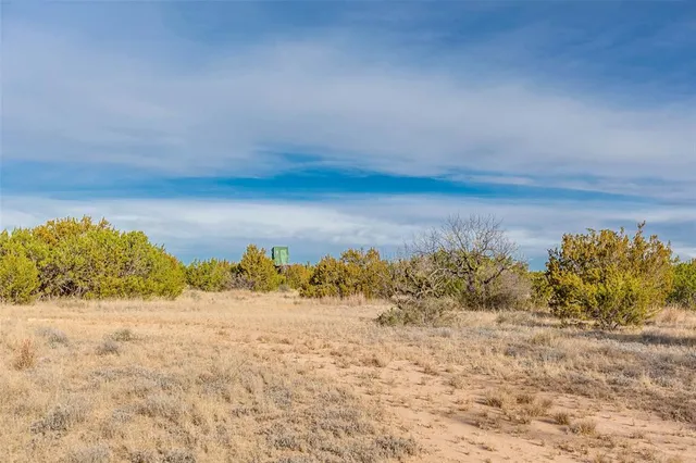 a view of a big yard with lots of bushes