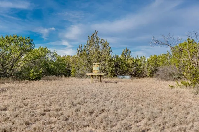 a view of a yard with plants and a tree
