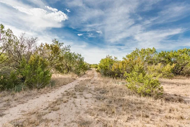 a view of a yard with a tree