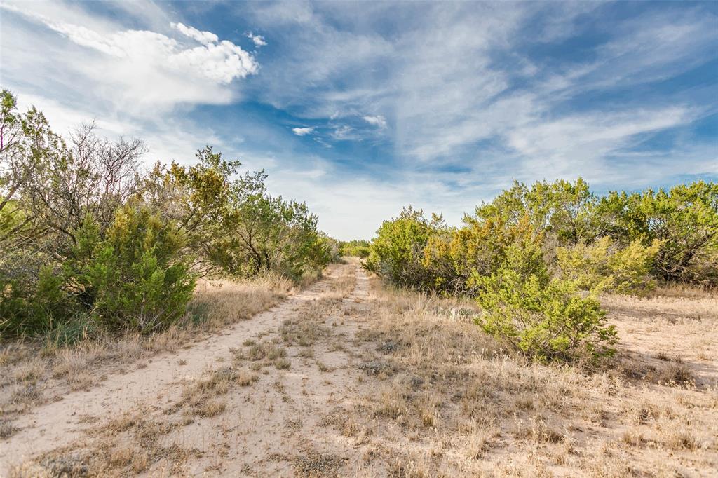 Na Cox Road Robert Lee, TX 76945 - Photo 34 of 40 a view of a big yard with lots of bushes