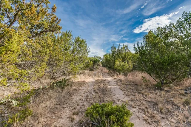a view of a yard with a tree