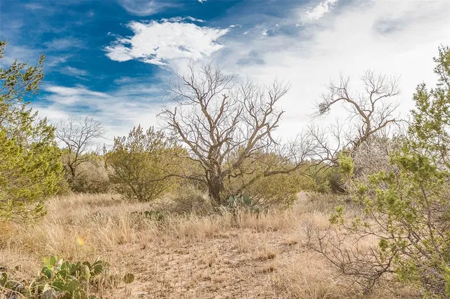 a view of a yard with a tree