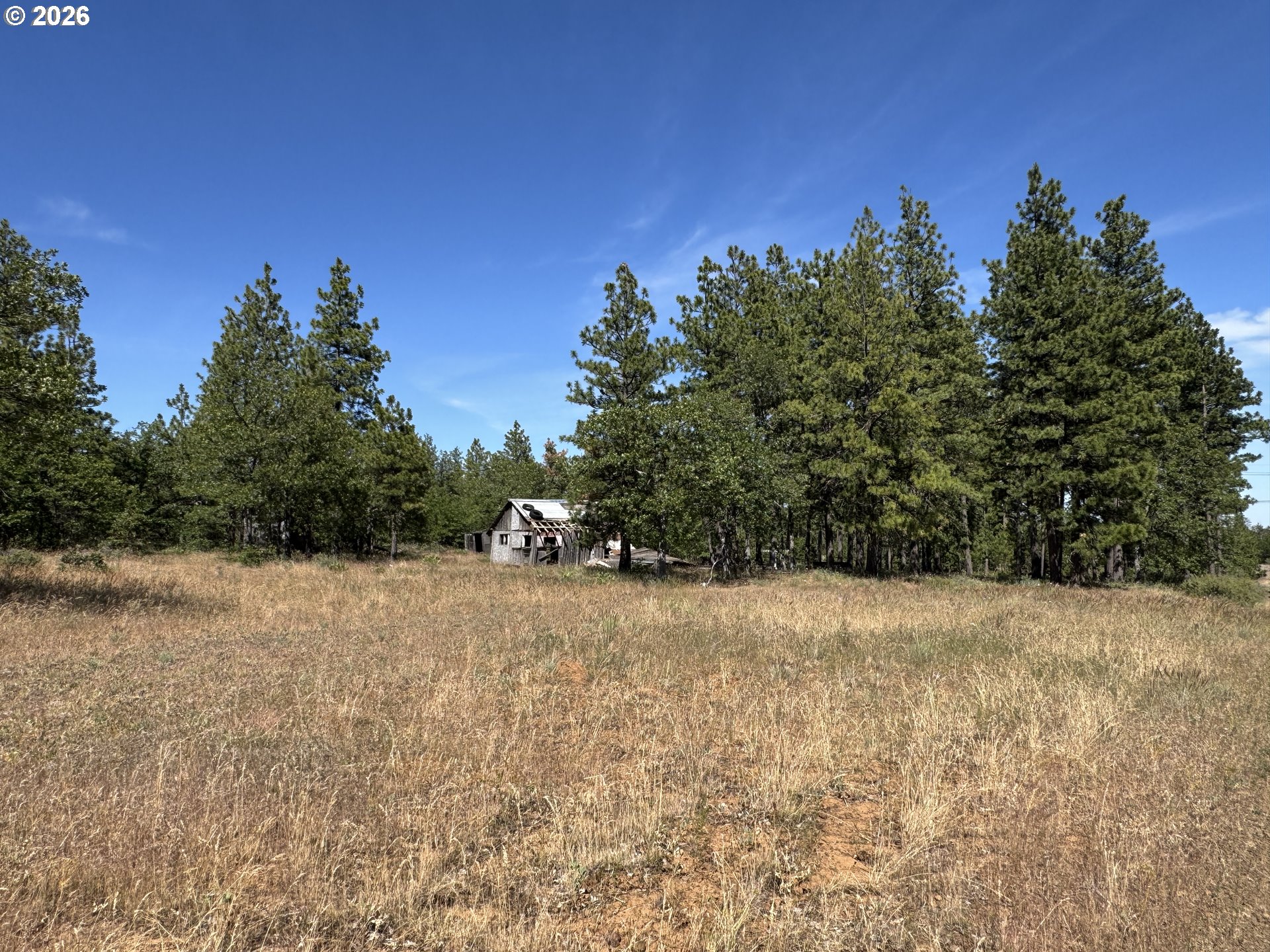 112 Timber Road Roosevelt, WA 99356 - Photo 12 of 31
