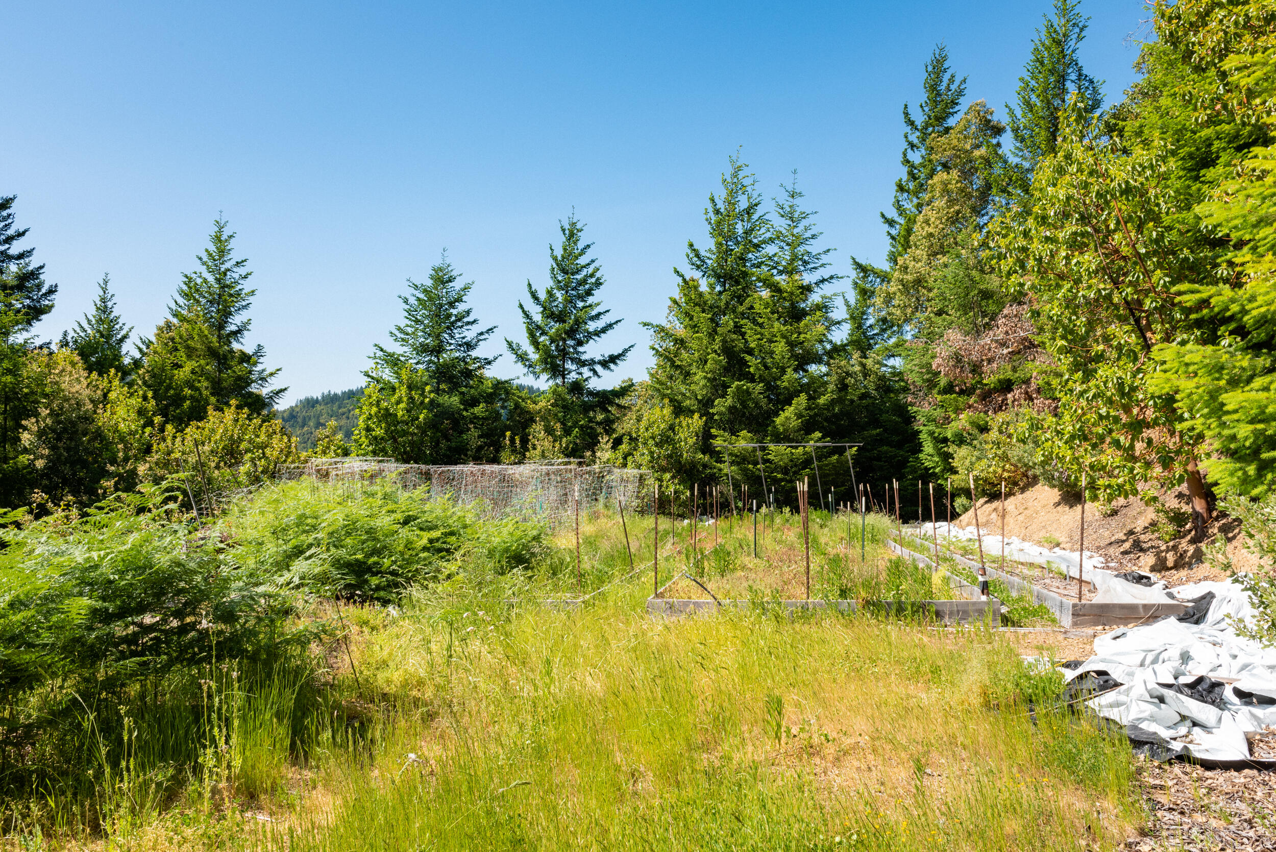 9225 Wilder Ridge Road Garberville, CA 95542 - Photo 17 of 44